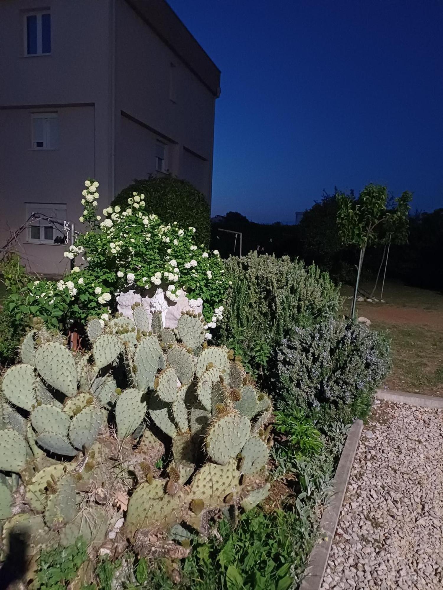 Villa Ana Medjugorje Exterior photo
