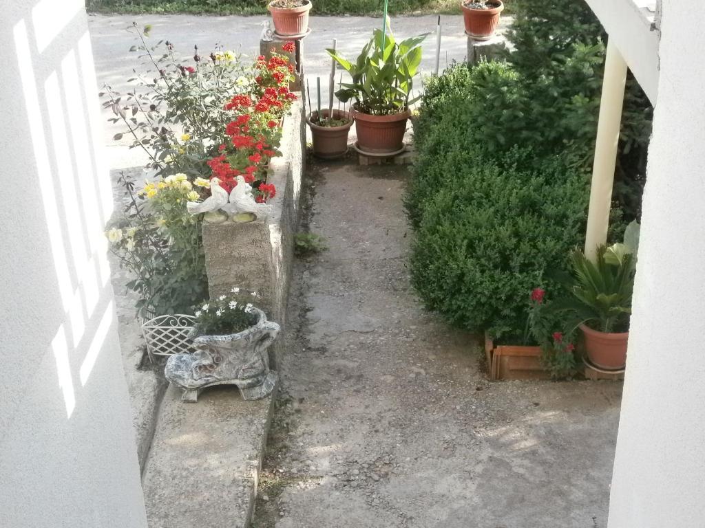Villa Ana Medjugorje Exterior photo